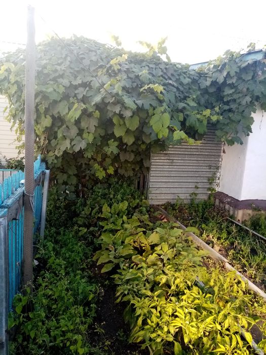 Продам отдельностоящий дом.