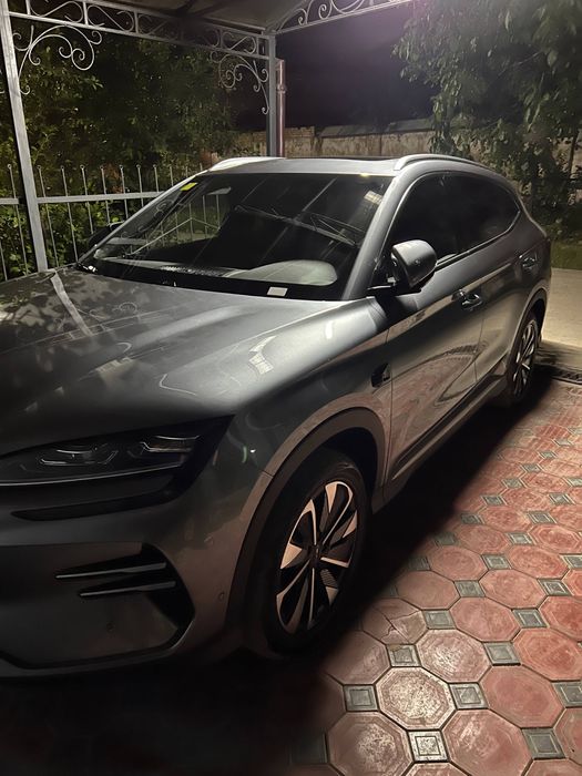 Byd Chempion Smart full
