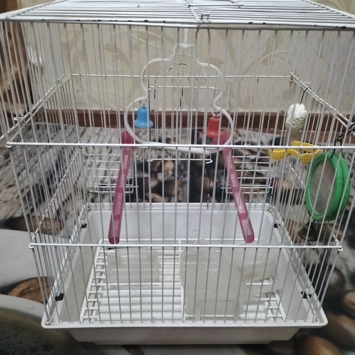 Продажа клетка да канареекк