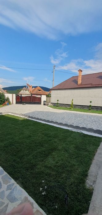 Amenajări grădini șpați verzi