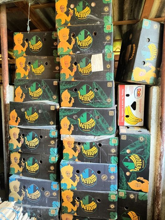 Baxuri noi pt kapia, gogoșar,vinete, salată.