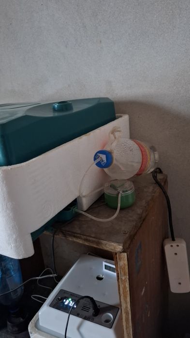 36talik inkubator sotiladi