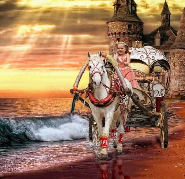 карета Золушка " "Диана"