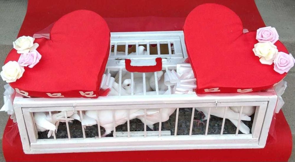 Porumbeii albi pentru nuntii