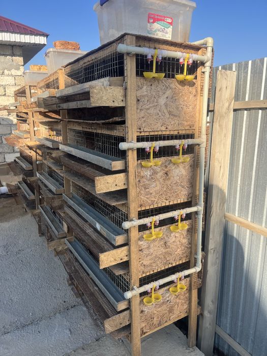 Бөдене асырауға клеткалар