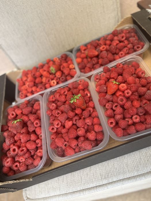 Zmeură BIO cu livrare la Oradea