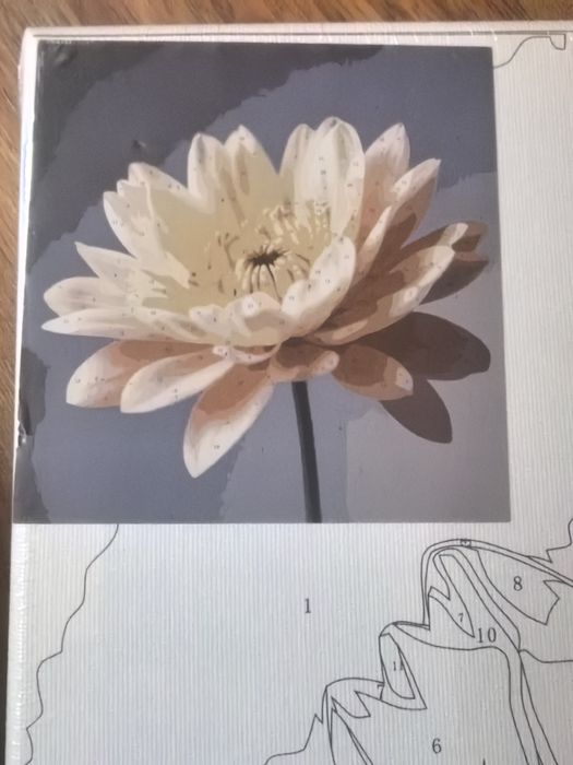 Tablou picturi pe numere