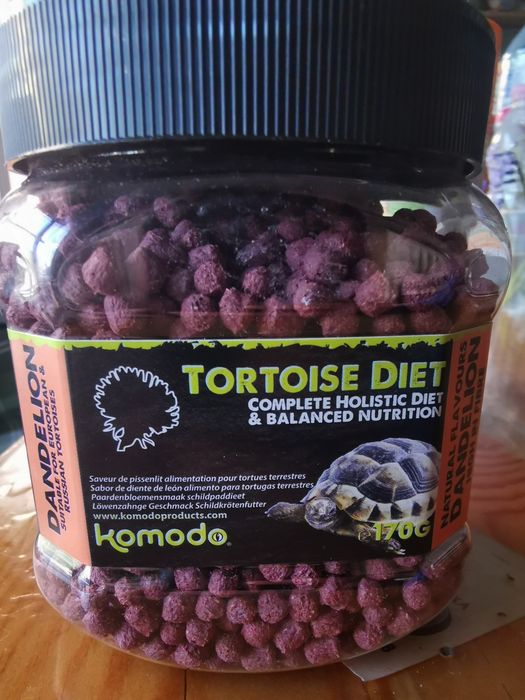 Храна за сухоземни костенурки