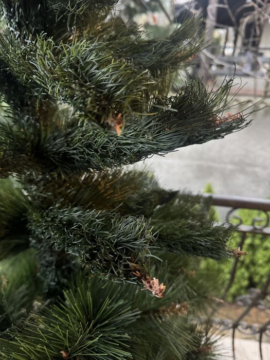 Коледна елха 1.60 м