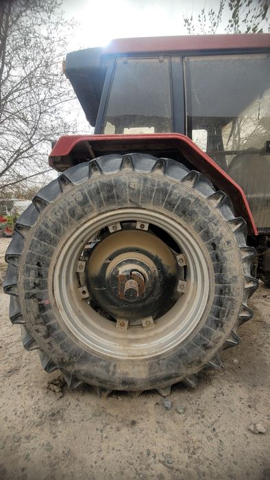 Case in 5250 xolati orta