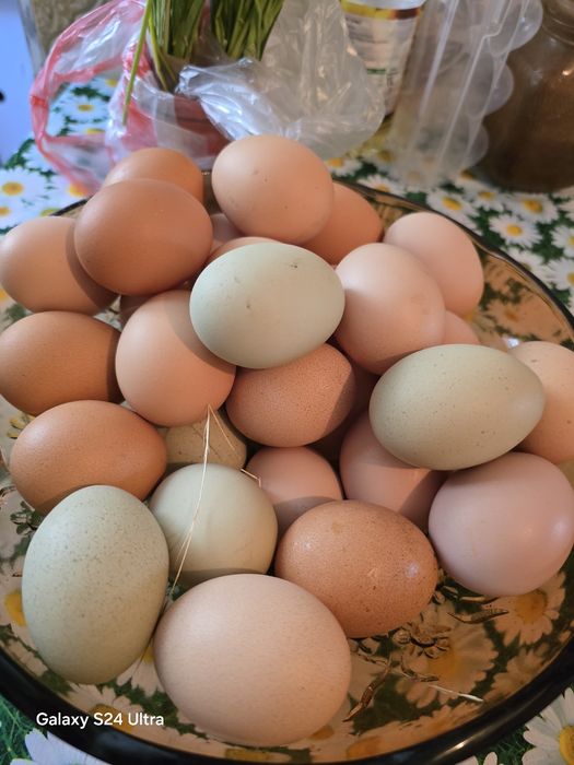 Продавам домашни яйца