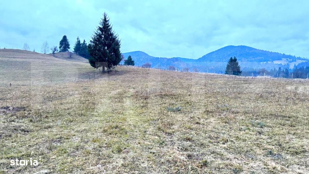 Vand 2500 Mp De Teren Intravilan La Colibita