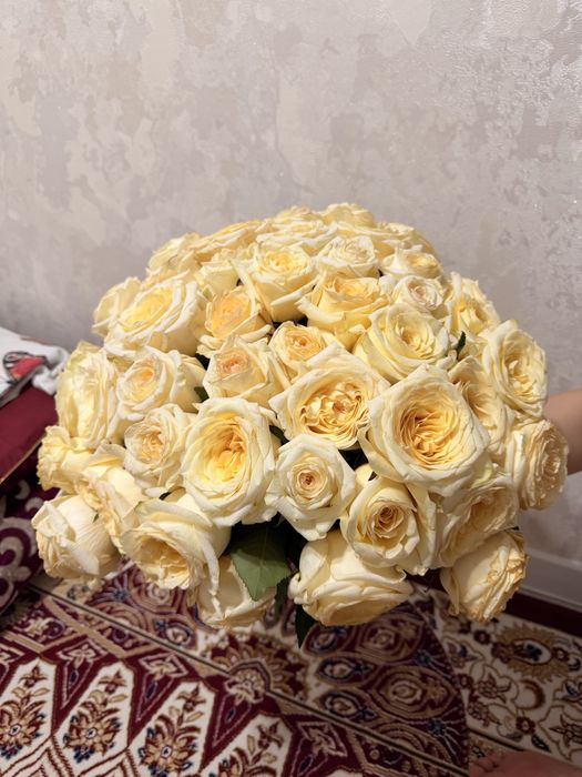 Белые розы 51 шт