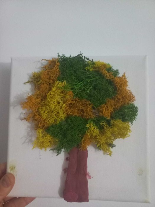 Vând tablouri și amenajări