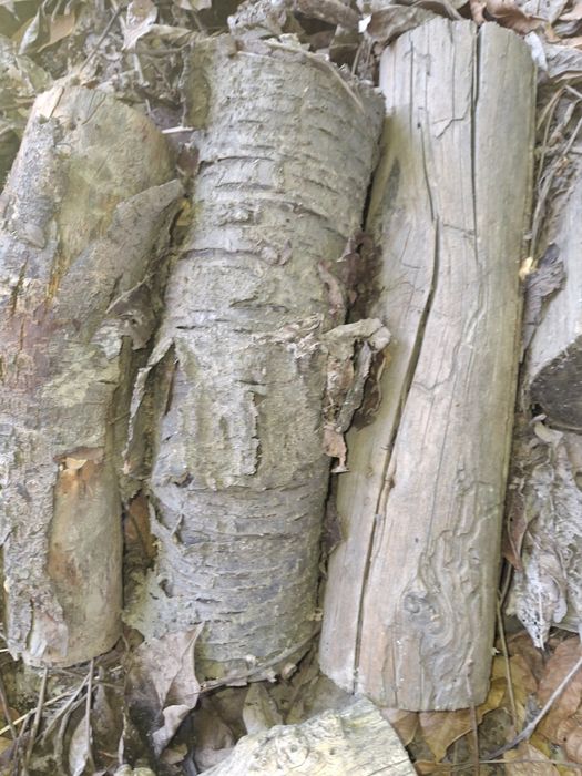 Дрова в мешках для шашлыка и бани