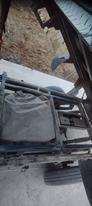 Drongo electron muravey