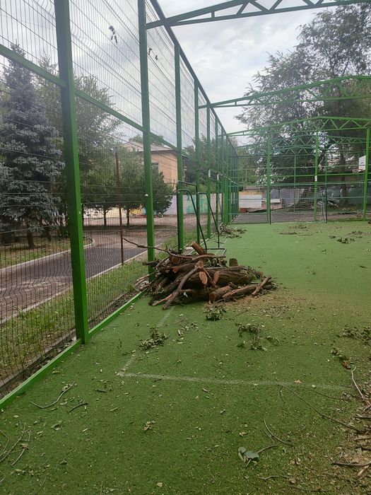 Дрова даром самовывоз