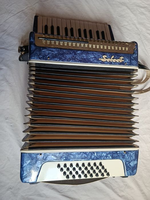 Acordeon Select Timis