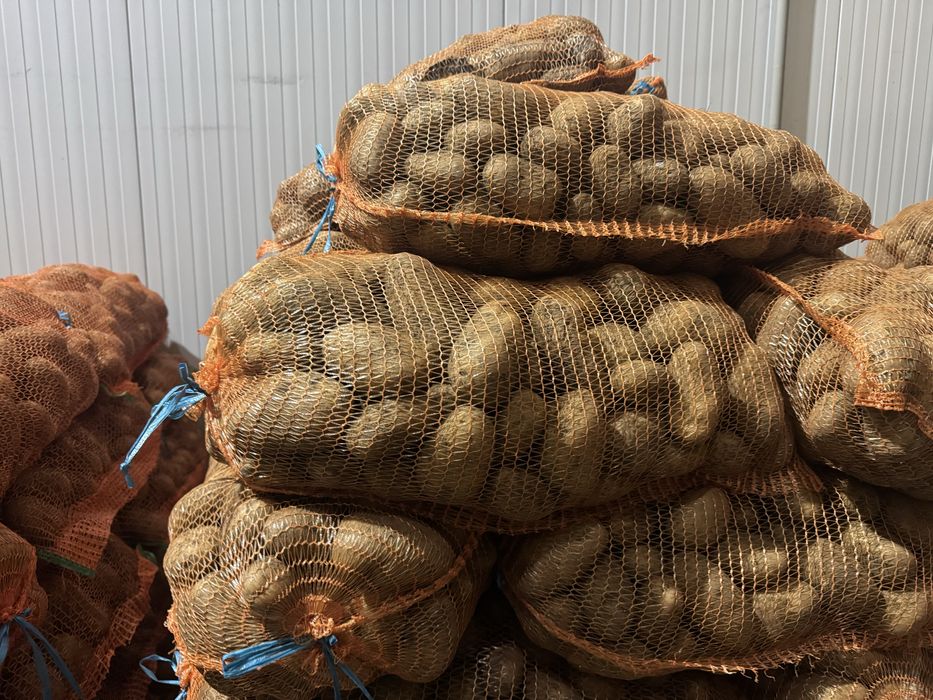 Cartofi Albi și Rozi