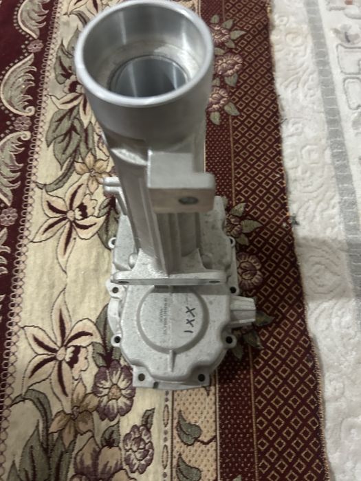 Газель каропканың арты