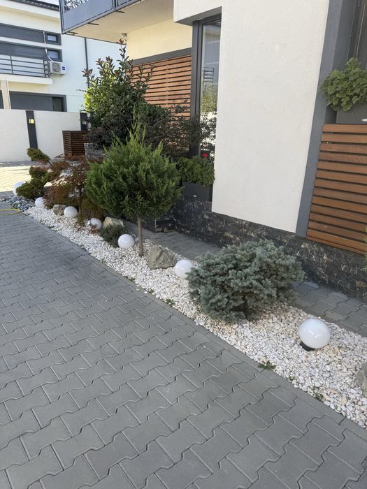 Mentenanță grădini Ilfov