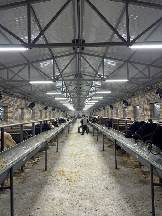 Ферма Ferma ташкент