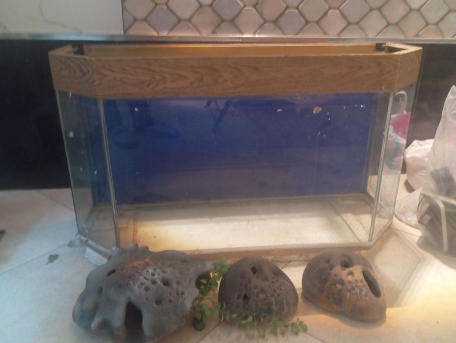 Akvarum srochna sotiladi