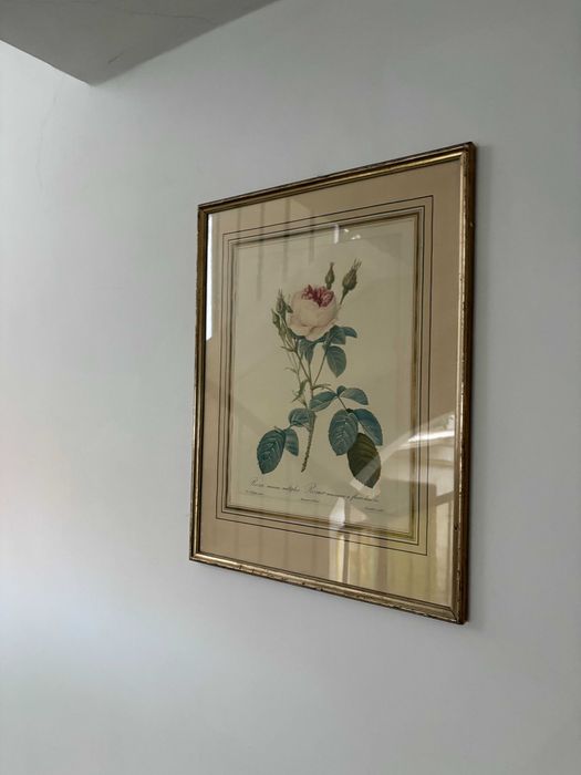 Print oficial La Redoute 3-a editie sec 19 trandafir alb rar