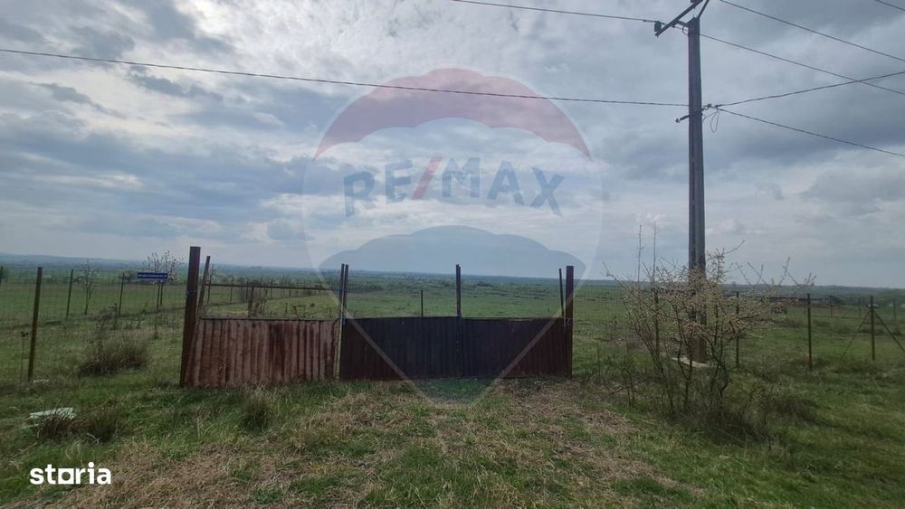 Teren intravilan in  Sebis 5000 mp / Strada Ciutariei