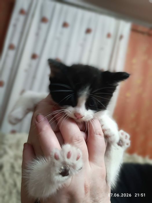 Маленькое  чудо.