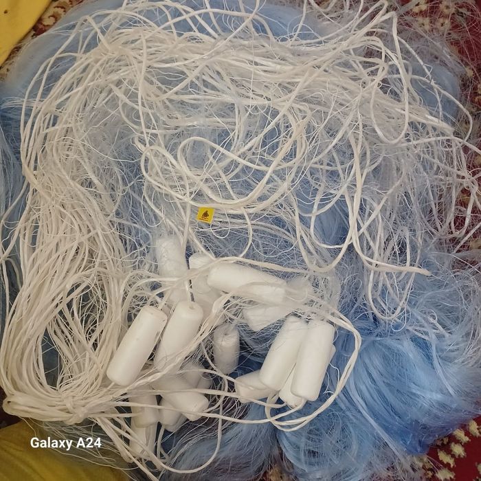 Сетка. Балик тор. Хамелеон Таиланд.