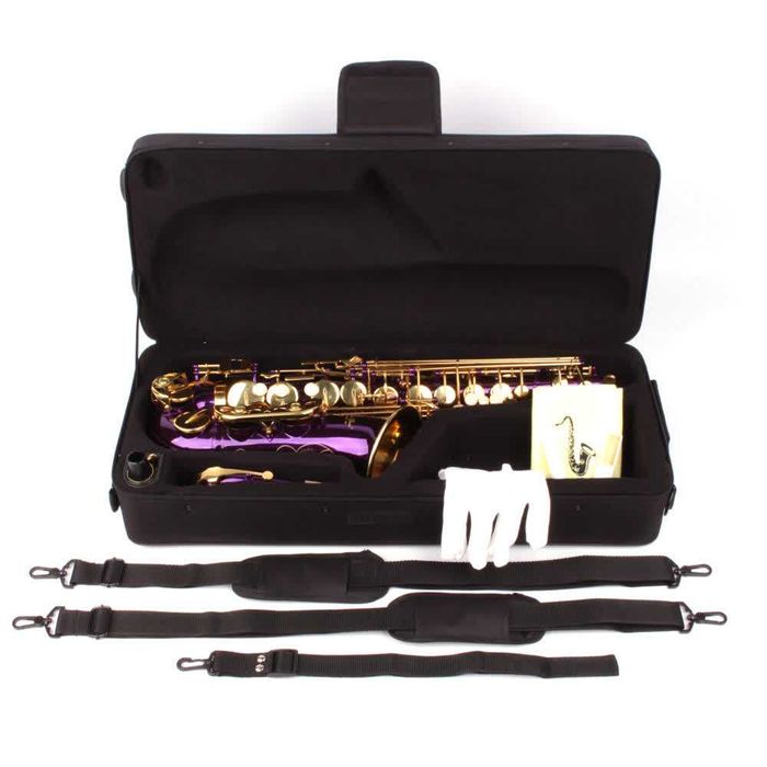 Saxofon Alto Karl Glaser LILA/MOV+ AURIU NOU curbat Saxophone Germania