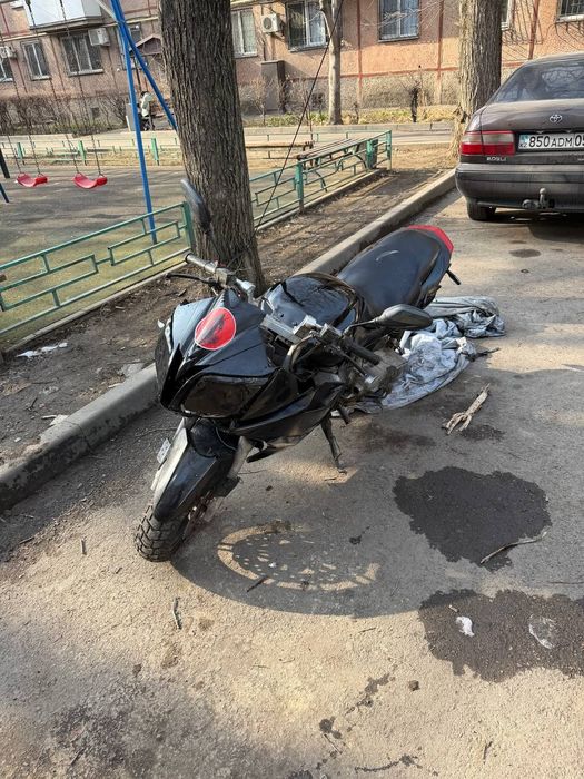 Педа Хорнет В2 продам