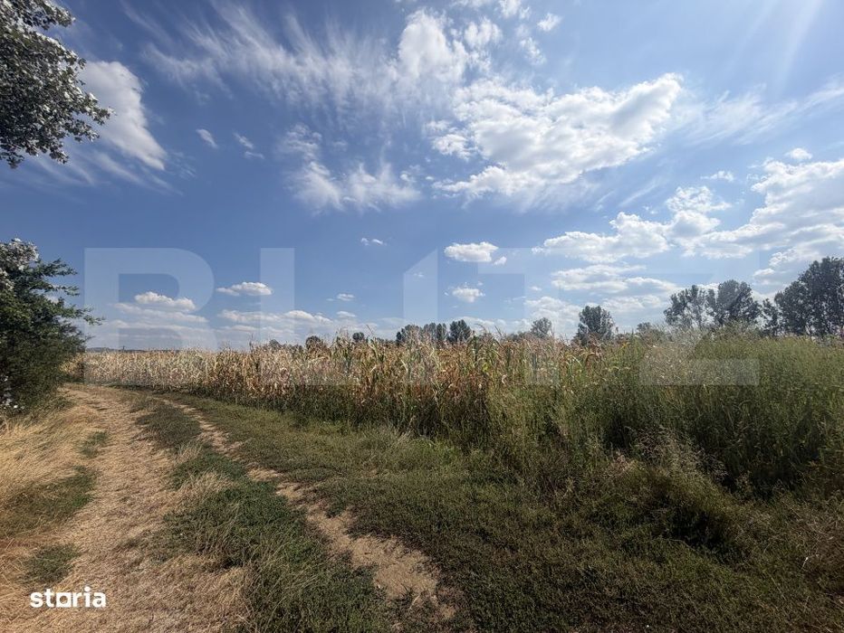 Teren extravilan, in suprafata de 9000 mp