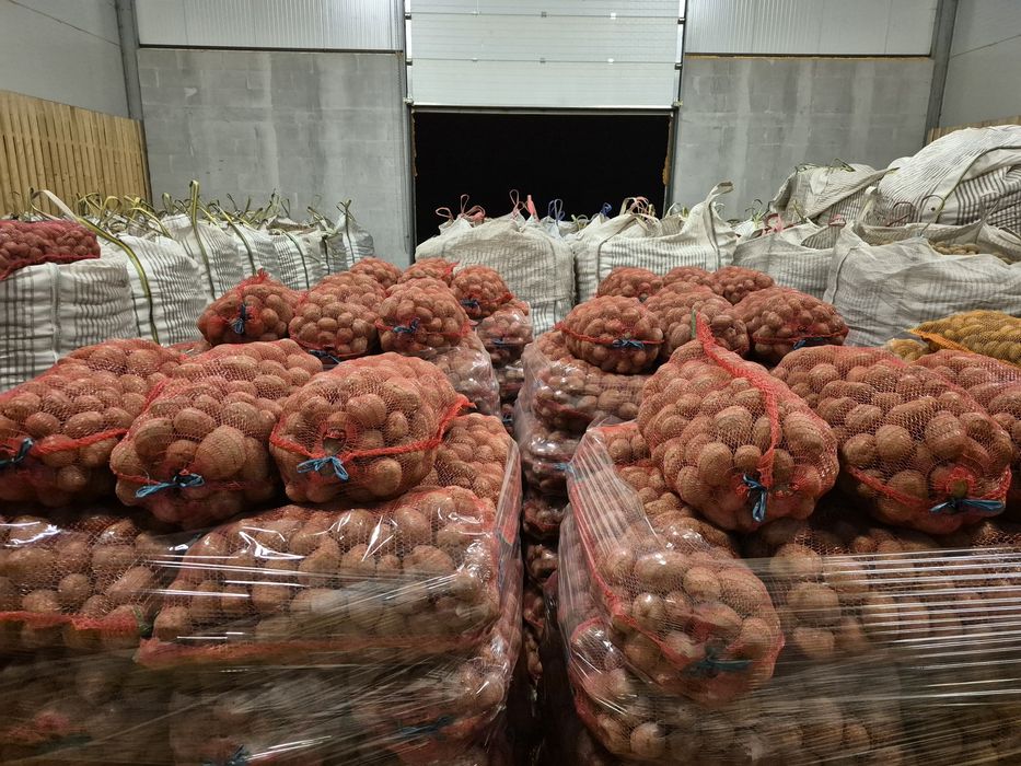 Cartofi consum alb si rosu