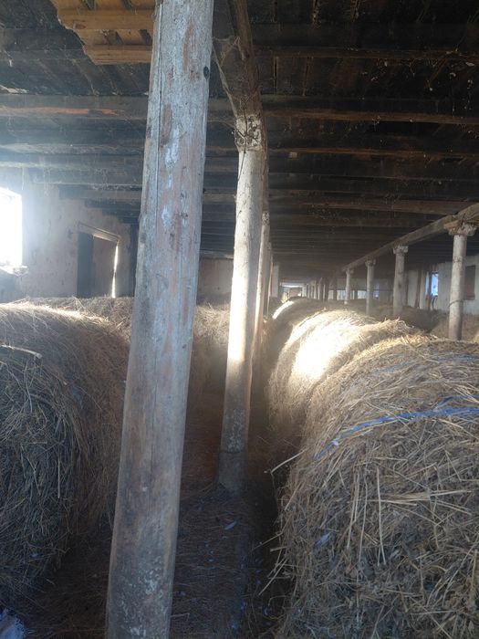 Vând clădire fost grajd CAP