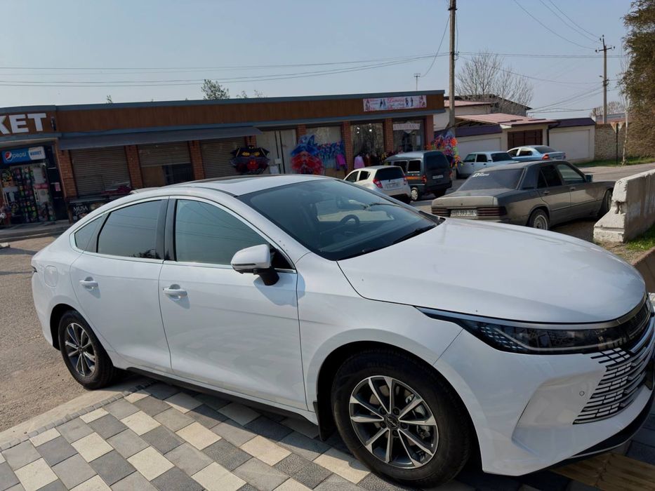 Byd Chazor 2 позиция