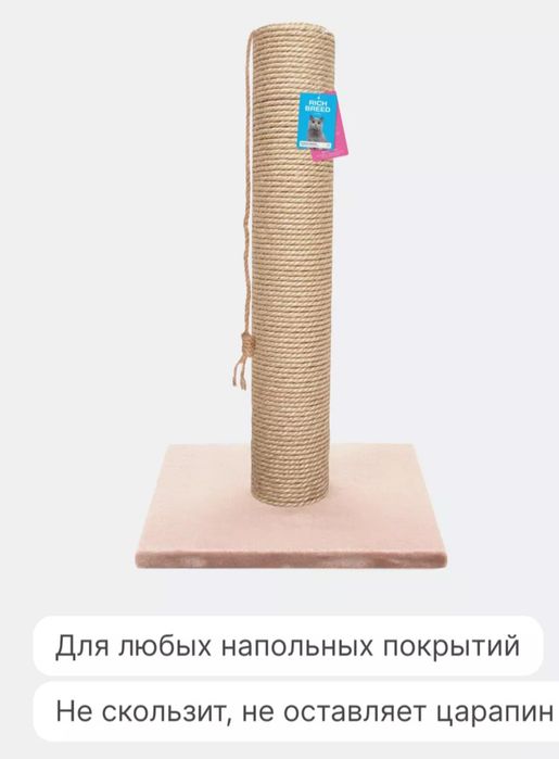 Когтеточка для кошек и котят