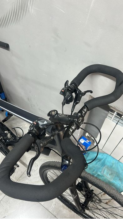 Giant roam 2 XL