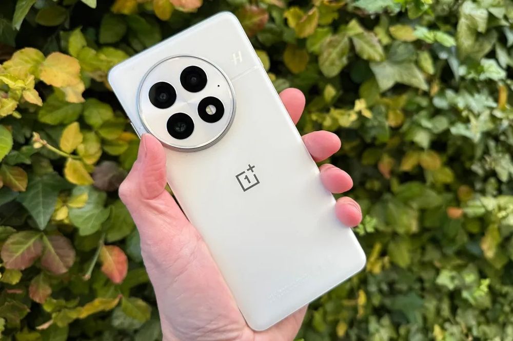 OnePlus 13 global