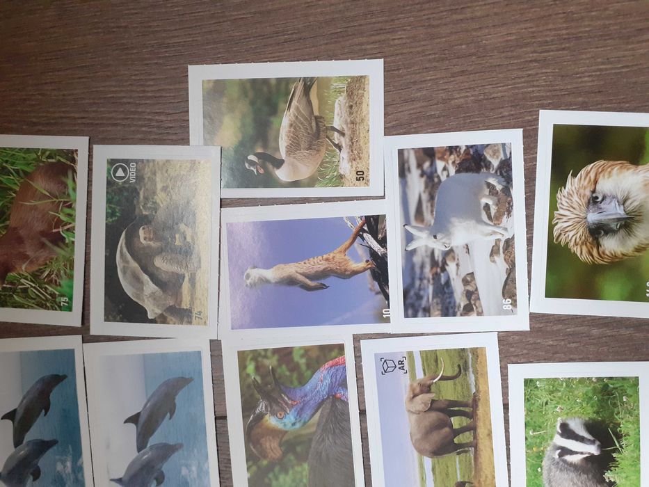 Стикери от албума на билла animal planet всичките-12лв