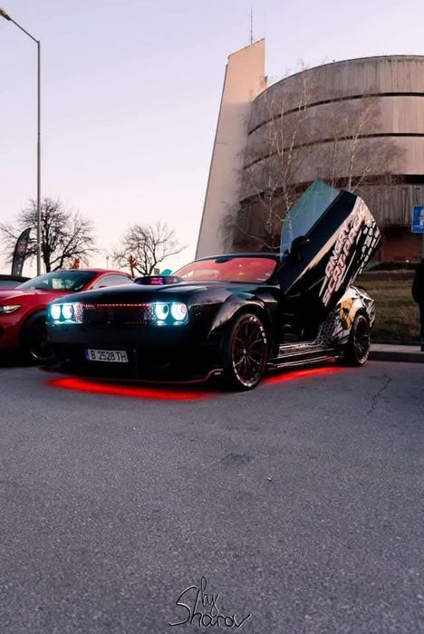 Dodge challenger vertical doors