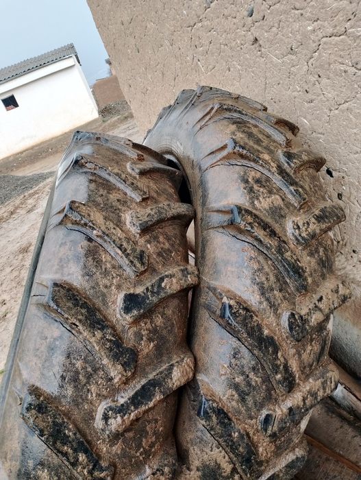 MTZ  80 balonlari xolati alo darajada