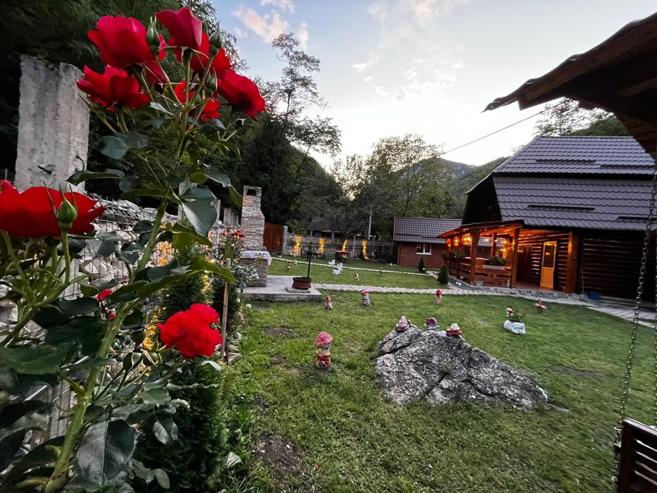 Cabană de închiriat!