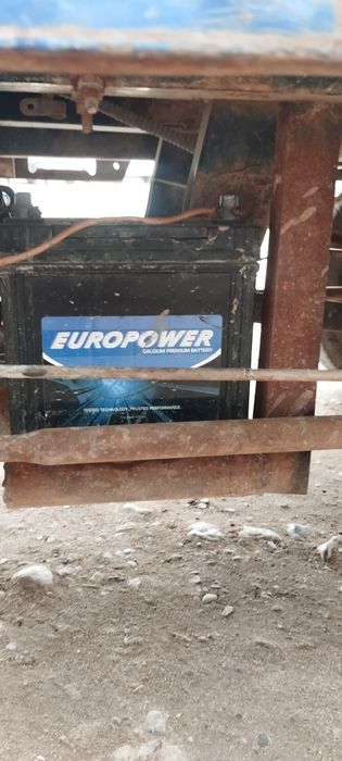 Муровей сотилади срочно холати зур