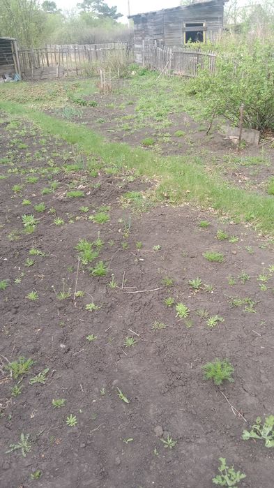 Продам дачу 3,2 сотки