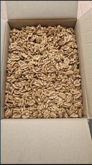 Vand miez de nuca anul 2025 și jumătăți