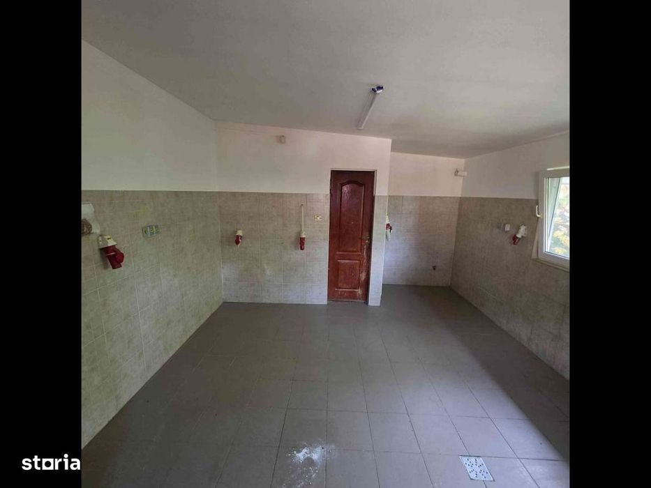 Paulesti Prahova CENTRAL vis a vis de Scoala Spatiu covrigarie