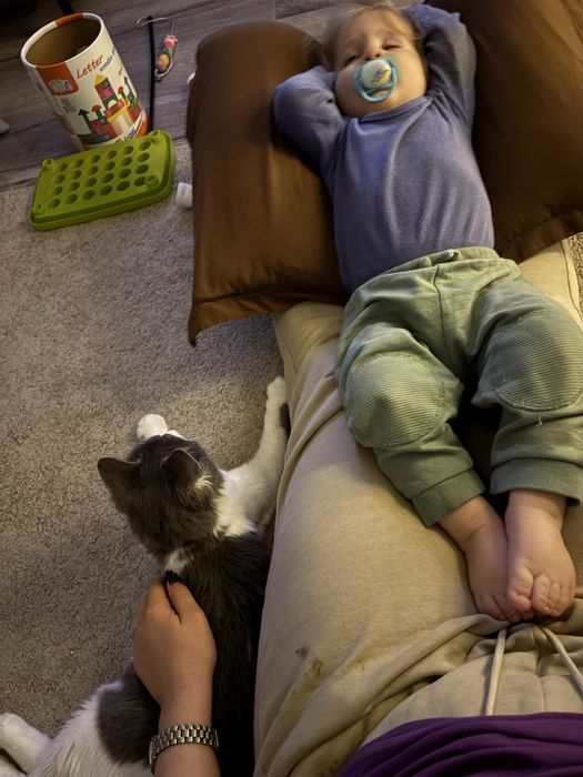 Dyson Airstrait 3 folosiri