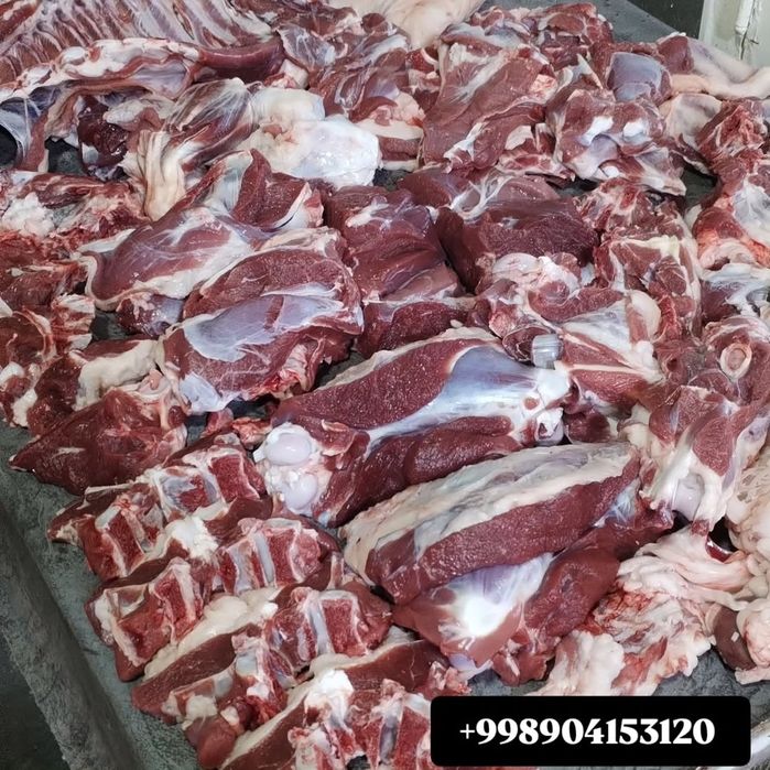 Qassob servis  Siz izlagan Tam va sifat uygʻunligi